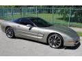 1999 Light Pewter Metallic Chevrolet Corvette Coupe  photo #4