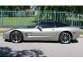 Light Pewter Metallic - Corvette Coupe Photo No. 5