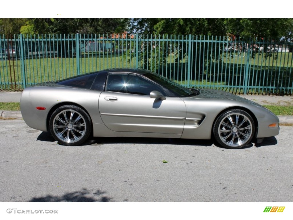 1999 Corvette Coupe - Light Pewter Metallic / Black photo #6