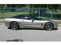 1999 Light Pewter Metallic Chevrolet Corvette Coupe  photo #6