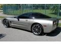 Light Pewter Metallic - Corvette Coupe Photo No. 7