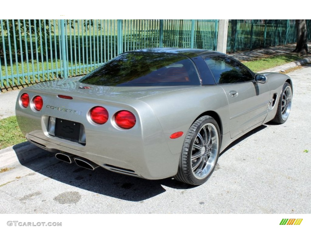 1999 Corvette Coupe - Light Pewter Metallic / Black photo #10
