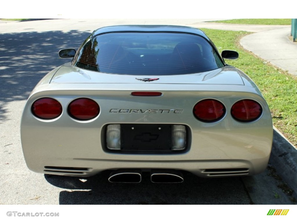 1999 Corvette Coupe - Light Pewter Metallic / Black photo #12