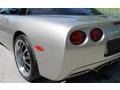 Light Pewter Metallic - Corvette Coupe Photo No. 15