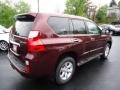 Claret Red Mica - GX 460 Premium Photo No. 4