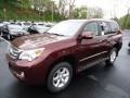 Claret Red Mica - GX 460 Premium Photo No. 8