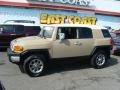 Quicksand - FJ Cruiser 4WD Photo No. 3