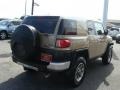 Quicksand - FJ Cruiser 4WD Photo No. 4