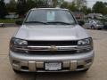 Silverstone Metallic - TrailBlazer LS 4x4 Photo No. 2