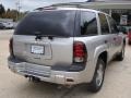 Silverstone Metallic - TrailBlazer LS 4x4 Photo No. 4