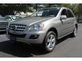 Pewter Metallic - ML 350 4Matic Photo No. 1