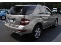 Pewter Metallic - ML 350 4Matic Photo No. 6