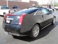 Black Raven - CTS Coupe Photo No. 4