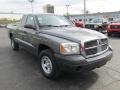 Mineral Gray Metallic - Dakota ST Club Cab Photo No. 5