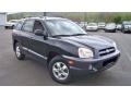 2006 Black Obsidian Hyundai Santa Fe GLS 4WD  photo #3