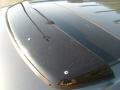 Polished Metal Metallic - Pilot EX-L Photo No. 3