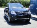 Black - ML 350 Photo No. 4