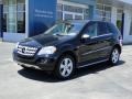 Black - ML 350 Photo No. 6