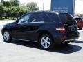Black - ML 350 Photo No. 8