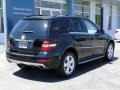 Black - ML 350 Photo No. 11