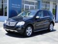 Black - ML 350 Photo No. 44