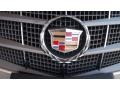 Gold Mist - CTS Sedan Photo No. 21