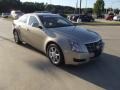 Gold Mist - CTS Sedan Photo No. 2