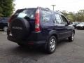 Royal Blue Pearl - CR-V LX 4WD Photo No. 7