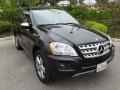 Black - ML 350 4Matic Photo No. 1