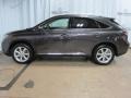 2010 Truffle Brown Mica Lexus RX 350 AWD  photo #6