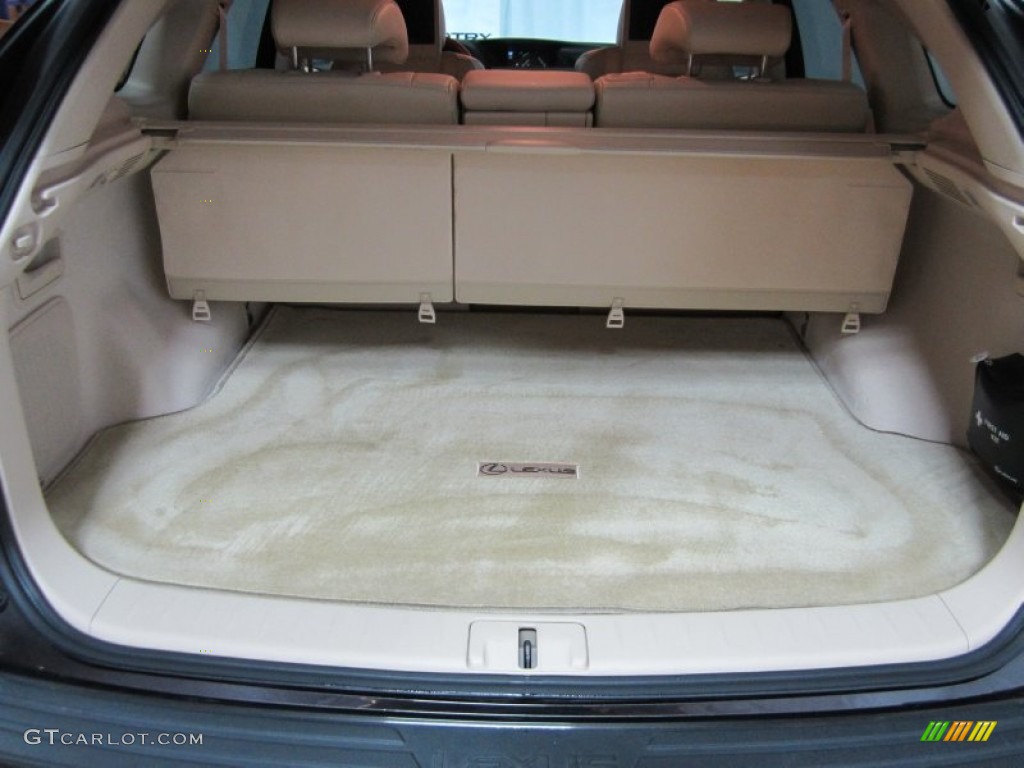 2010 RX 350 AWD - Truffle Brown Mica / Parchment/Brown Walnut photo #14