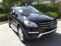 Black - ML 350 4Matic Photo No. 1