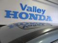 2009 Glacier Blue Metallic Honda CR-V EX 4WD  photo #7