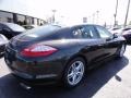 Carbon Grey Metallic - Panamera 4 Photo No. 8