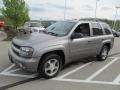 Graystone Metallic - TrailBlazer LS 4x4 Photo No. 5