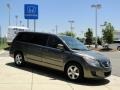 Meteor Gray Metallic - Routan SE Photo No. 3