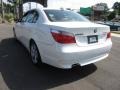 Alpine White - 5 Series 530xi Sedan Photo No. 9