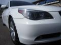 Alpine White - 5 Series 530xi Sedan Photo No. 13