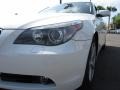 Alpine White - 5 Series 530xi Sedan Photo No. 14
