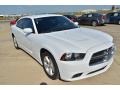 Bright White - Charger SE Photo No. 10