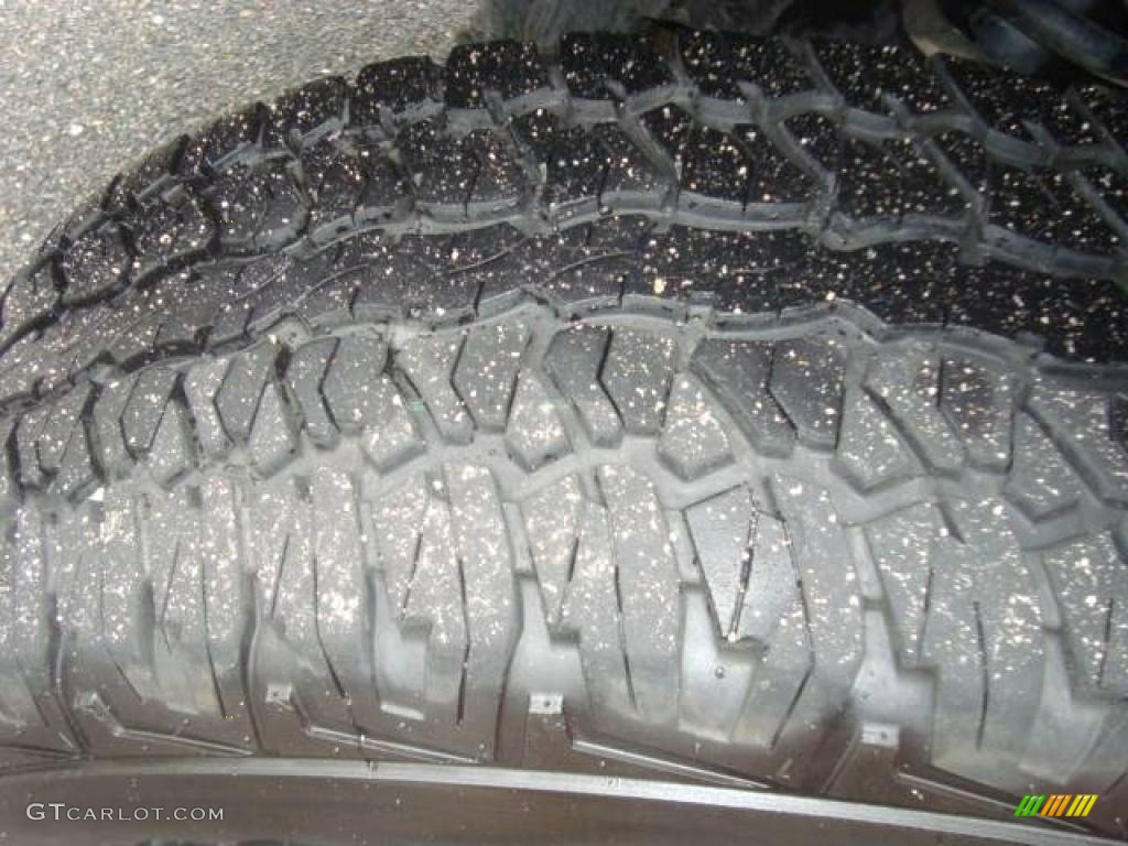 2006 F150 FX4 SuperCab 4x4 - Bright Red / Black/Medium Flint photo #19