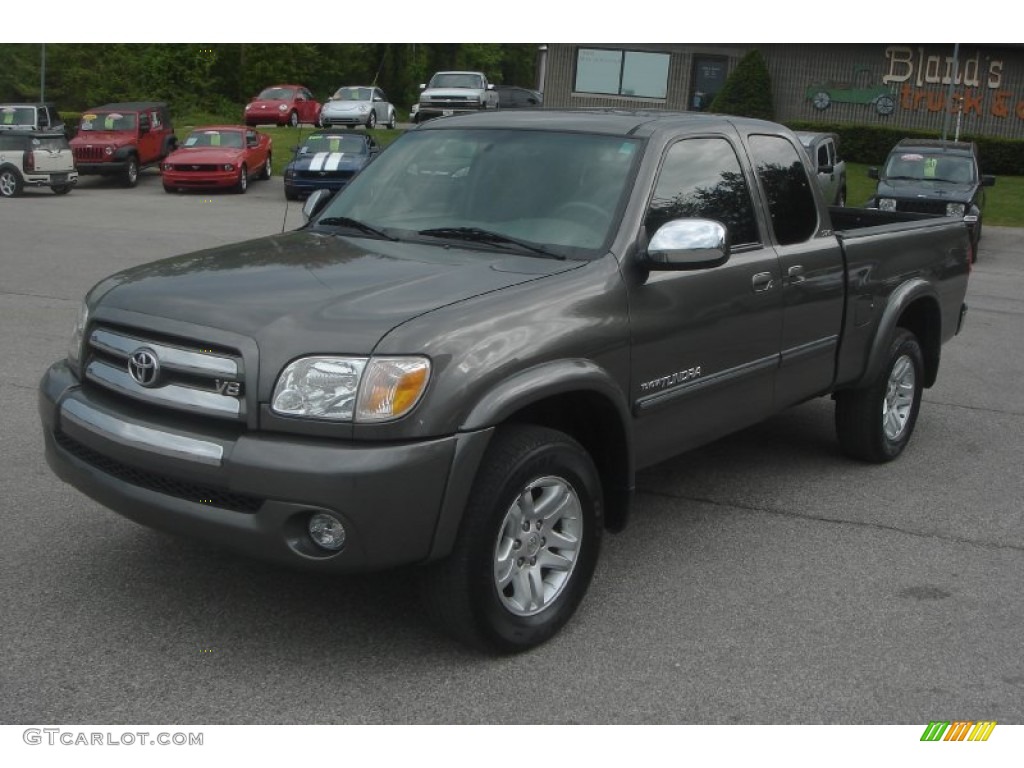 2005 Tundra SR5 Access Cab 4x4 - Phantom Gray Pearl / Light Charcoal photo #1