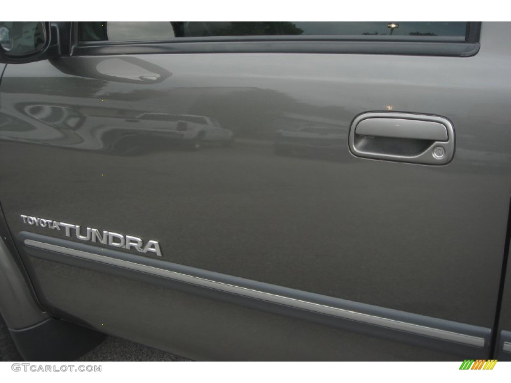 2005 Tundra SR5 Access Cab 4x4 - Phantom Gray Pearl / Light Charcoal photo #13