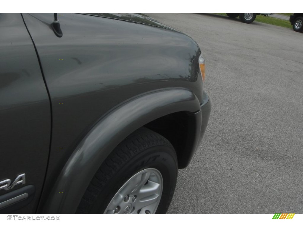 2005 Tundra SR5 Access Cab 4x4 - Phantom Gray Pearl / Light Charcoal photo #28