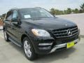 Black - ML 350 4Matic Photo No. 1