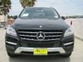 Black - ML 350 4Matic Photo No. 2