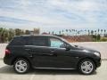 Black - ML 350 4Matic Photo No. 3