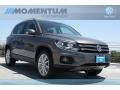 Pepper Gray Metallic - Tiguan SE Photo No. 1