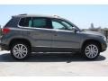 Pepper Gray Metallic - Tiguan SE Photo No. 7