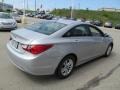 Radiant Silver - Sonata GLS Photo No. 5